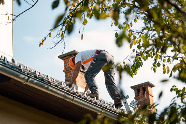 Best Residential Roofing Contractor  in Willamina, OR