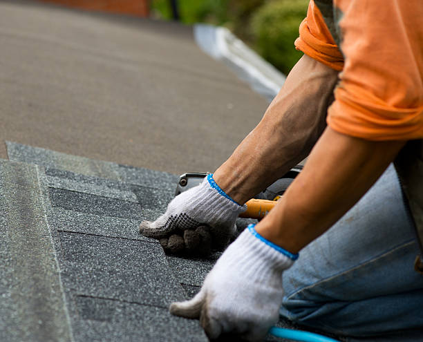 Best Storm Damage Roof Repair  in Willamina, OR