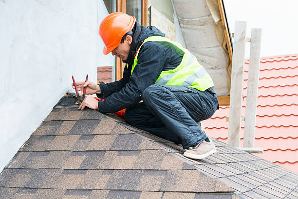 Best Roof Gutter Cleaning  in Willamina, OR